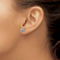 Chisel Titanium Polished Cubic Zirconia Post Earrings - Image 3 of 3