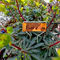 Bosmere English Garden 10 in. Copper Plated Plant Labels 50 pk. - Image 3 of 3