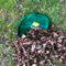 Bosmere English Garden Premium Plastic Garden Hand Leaf Grabber - Image 4 of 4