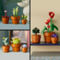 LEGO Icons Tiny Plants 10329 - Image 7 of 10