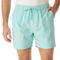 Super Massive Solid Volley Shorts - Image 1 of 3