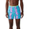 Chubbies The Dino Delights 5.5 in. Classic Lined Trunks - Image 1 of 4
