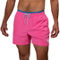 Chubbies The Avalons 5.5 in. Classic Lined Trunks - Image 1 of 4
