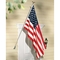 Annin Nylon U.S. Flag & Pole Deluxe Set - Image 2 of 2
