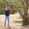 Black + Decker 15 Amp 18 in. Chainsaw - Image 4 of 7