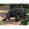 Design Toscano Shadowed Predator Black Panther Statue - Image 4 of 4