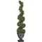 Design Toscano Topiary Tree, Spiral - Image 1 of 3