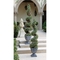Design Toscano Topiary Tree, Spiral - Image 3 of 3