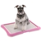 Richell Paw Trax Pink Mesh Training Tray - Image 2 of 4