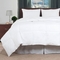 Lavish Home Feather Down Comforter - Image 1 of 3