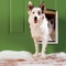 PetSafe Extreme Weather Door - Image 3 of 4