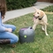 PetSafe Automatic Ball Launcher - Image 3 of 3