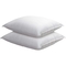 Rio Home Fashions PermaLoft Never Goes Flat Gel Pillow - Image 1 of 4