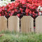Greenes Fence Company Cedar Lawn Edging - Image 2 of 2