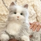 Hasbro Joy for All Companion Pets Silver Cat with White Mitts - Image 3 of 4
