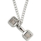 Shields of Strength Men's Stainless Steel Dumbbell Necklace Philippians 4:13 - Image 1 of 2