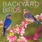 TF Publishing Backyard Birds Mini Calendar - Image 1 of 3