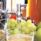 Euro Cuisine Stainless Steel Steam Juicer - Image 4 of 4