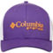Men's Columbia Purple Clemson Tigers Collegiate PFG Flex Hat - Image 3 of 4