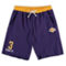 Majestic Men's Anthony Davis Purple Los Angeles Lakers Big & Tall French Terry Name & Number Shorts - Image 2 of 2
