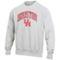 Champion Men's Gray Houston Cougars Arch Over Logo Reverse Weave Pullover Sweatshirt - Image 3 of 4