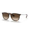 Ray-Ban RB4171 Erika Classic - Image 1 of 7