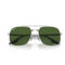 Ray-Ban RB3699 Polarized - Image 5 of 5