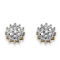 PalmBeach Diamond Accent Starburst Stud Earrings in Solid 10k Gold - Image 1 of 4