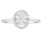 APMG 14K White Gold 1/3 CTW Diamond Oval Cluster Ring - Image 1 of 4