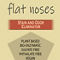 Flat Noses Pet Stain and Odor Eliminator Deodorizer Orange Grapefruit, Plant-Based - Image 3 of 4