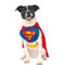 Superman Pet Costume - Image 1 of 2