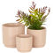 Morgan Hill Home Modern Pink Ceramic Planter Set - Image 1 of 5