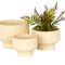 Morgan Hill Home Modern Cream Ceramic Planter Set - Image 1 of 5