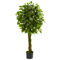 Nearly Natural 4-ft Ficus Artificial Tree with Woven Trunk, UV Resistant (Indoor/O - Image 1 of 2
