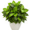 Nearly Natural Dieffenbachia Artificial Plant in White Planter - Image 1 of 2
