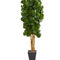 Nearly Natural Fiddle Leaf Artificial Tree in Slate Planter - Image 1 of 2