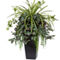 Nearly Natural Wandering Jew and Spider Plant in Black Planter - Image 1 of 2