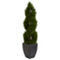 Nearly Natural 5-ft Double Pond Cypress Spiral Topiary Artificial Tree in Black Wa - Image 1 of 2