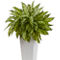 Nearly Natural Aglaonema Artificial Plant with White Decorative Planter - Image 1 of 2