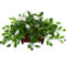 Nearly Natural Mix Stephanotis Artificial Plant in Decorative Planter - Image 1 of 2