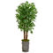 Nearly Natural 76-in Parlour Artificial Palm Tree in Copper Trimmed Metal Planter - Image 1 of 2