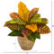 Nearly Natural 15-in Garden Croton Artificial Plant in Ceramic Planter (Real Touch - Image 2 of 2