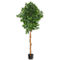 Nearly Natural 6-ft Ficus Artificial Tree - Image 1 of 2