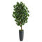 Nearly Natural 5-ft Ficus Artificial Tree in Gray Planter - Image 1 of 2