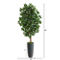 Nearly Natural 5-ft Ficus Artificial Tree in Gray Planter - Image 2 of 2