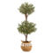 Nearly Natural 4.5-ft Artificial Olive Double Topiary Tree with Handmade Jute & Co - Image 1 of 2