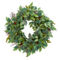 Nearly Natural 23-in Mix Royal Ruscus, Fittonia and Berries Artificial Wreath - Image 2 of 2