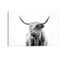 Portrait Of A Highland Cow Photography Modern Decorative  Stylish Art by Dorit Fuhg - Image 1 of 2