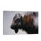 Bison Photography Stylish Canvas Art Print by Andreas Lie - Large Art - Image 1 of 2